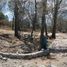  Land for sale in Atemajac De Brizuela, Jalisco, Atemajac De Brizuela
