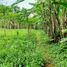  Terrain for sale in Tegallalang, Gianyar, Tegallalang
