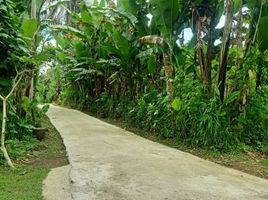  Terrain for sale in Tegallalang, Gianyar, Tegallalang