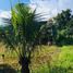  Land for sale in Phu Hoi, Duc Trong, Phu Hoi