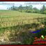  Land for sale in Selemadeg, Tabanan, Selemadeg