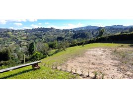  Land for sale in Guarne, Antioquia, Guarne