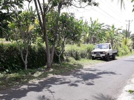  Grundstück zu verkaufen in Gianyar, Bali, Tampak Siring