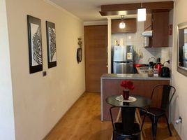 1 Habitación Apartamento en venta en Santiago, Santiago, Santiago, Santiago