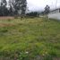  Land for rent in Quito Pichincha, Pifo