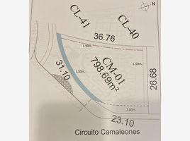  Land for sale in Torreon, Coahuila, Torreon