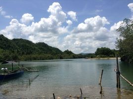  Grundstück zu verkaufen in Negros Occidental, Negros Island Region, Sipalay City, Negros Occidental, Negros Island Region