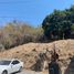  Terreno (Parcela) en venta en Cuernavaca, Morelos, Cuernavaca