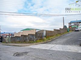  Terreno (Parcela) en venta en Puerto Montt, Llanquihue, Puerto Montt