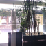 279 m² Office for rent in Naucalpan De Juarez, Mexico, Naucalpan De Juarez