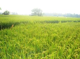  Land for sale in Sukawati, Gianyar, Sukawati