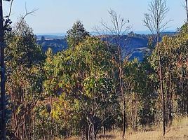  Terrain for sale in Navidad, Cardenal Caro, Navidad