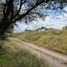  Land for sale in Dolores Hidalgo, Guanajuato, Dolores Hidalgo