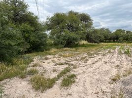 Land for sale in Dolores Hidalgo, Guanajuato, Dolores Hidalgo