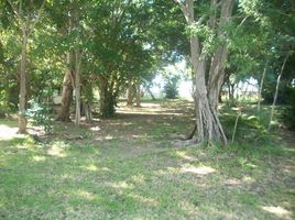 Terrain à vendre à Altamira, Tamaulipas, Altamira