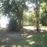Terrain à vendre à Altamira, Tamaulipas, Altamira