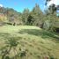 Terrain à vendre à Rionegro, Antioquia, Rionegro