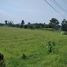  Land for sale in Cijeruk, Bogor, Cijeruk