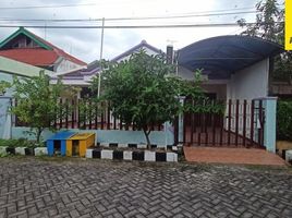 4 Kamar Vila for rent in East Jawa, Mulyorejo, Surabaya, East Jawa