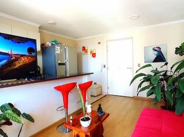 3 Schlafzimmer Appartement zu verkaufen in Cautin, Araucania, Nueva Imperial, Cautin