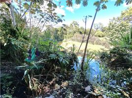  Terrain for sale in Alanje, Chiriqui, Alanje, Alanje