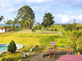  Land for sale in Dosquebradas, Risaralda, Dosquebradas