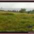  Land for sale in Selemadeg, Tabanan, Selemadeg