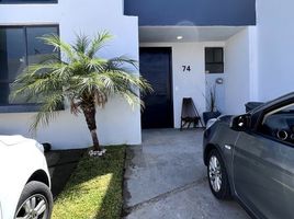3 Schlafzimmer Haus zu verkaufen in Zapopan, Jalisco, Zapopan