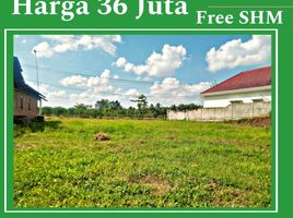  Land for sale in Banyuwangi, East Jawa, Gambiran, Banyuwangi