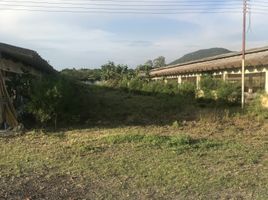  Land for sale in Yautepec, Morelos, Yautepec