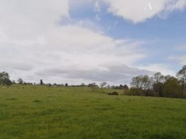  Land for sale in Osorno, Los Lagos, Purranque, Osorno