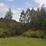  Land for sale in Osorno, Los Lagos, Purranque, Osorno