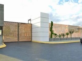 4 Schlafzimmer Wohnung zu verkaufen in Tihuatlan, Veracruz, Tihuatlan