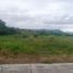  Land for sale in Aurora, Central Luzon, San Luis, Aurora