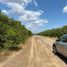  Land for sale in San Carlos Tamaulipas, San Carlos