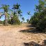  Land for sale in San Carlos Tamaulipas, San Carlos