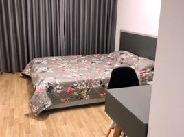 3 Schlafzimmer Wohnung zu vermieten in O Cho Dua, Dong Da, O Cho Dua