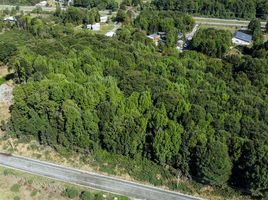  Terreno (Parcela) en venta en Puerto Varas, Llanquihue, Puerto Varas