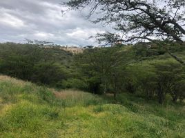  Terreno (Parcela) en venta en Tumbaco, Pichincha, Tumbaco, Quito