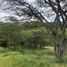  Terreno (Parcela) en venta en Tumbaco, Pichincha, Tumbaco, Quito