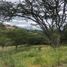  Terreno (Parcela) en venta en Tumbaco, Pichincha, Tumbaco, Quito