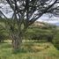  Terreno (Parcela) en venta en Tumbaco, Pichincha, Tumbaco, Quito