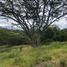 Terreno (Parcela) en venta en Tumbaco, Pichincha, Tumbaco, Quito