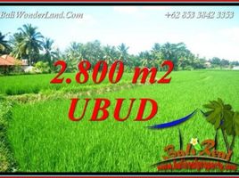  Terrain for sale in Ubud, Gianyar, Ubud