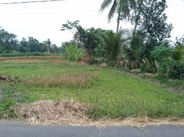  Land for sale in Yogyakarta, Ngaglik, Sleman, Yogyakarta