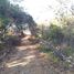  Terreno (Parcela) en venta en Oaxaca, Dist Pochutla, Oaxaca