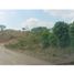  Land for sale in Flavio Alfaro, Manabi, Flavio Alfaro, Flavio Alfaro