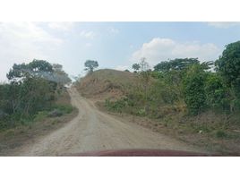  Land for sale in Flavio Alfaro, Manabi, Flavio Alfaro, Flavio Alfaro