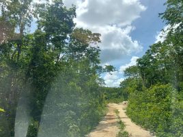  Terreno (Parcela) en venta en Cozumel, Quintana Roo, Cozumel