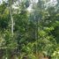  Terreno (Parcela) en venta en Cozumel, Quintana Roo, Cozumel